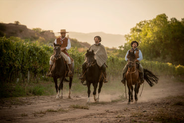 Gauchezco Vineyard and Winery