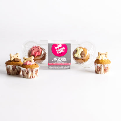 Image of Trio of Mini Iced Woofins by Barking Bakery, part of luxury gift hampers from hampers.com UK