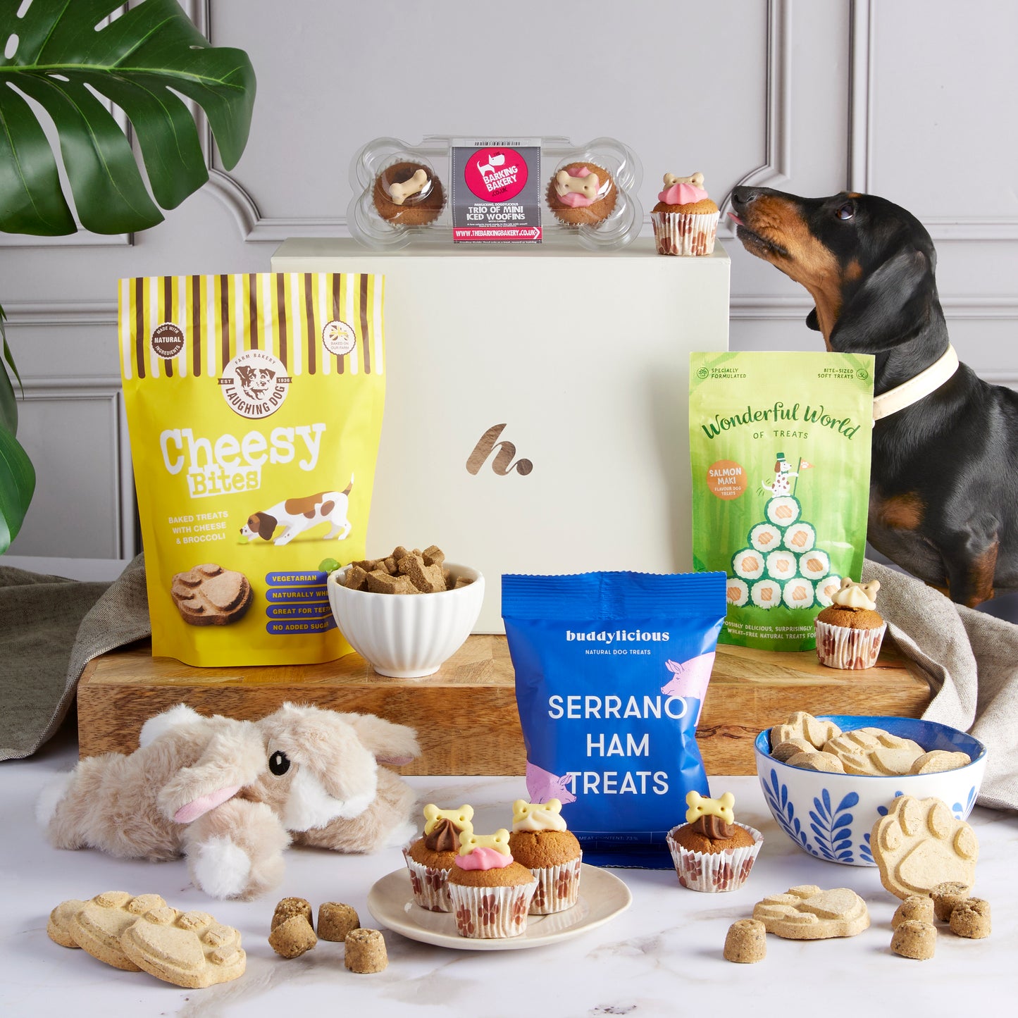 Main image of Paw-some Treats Dog Hamper, a luxury gift hamper from hampers.com UK