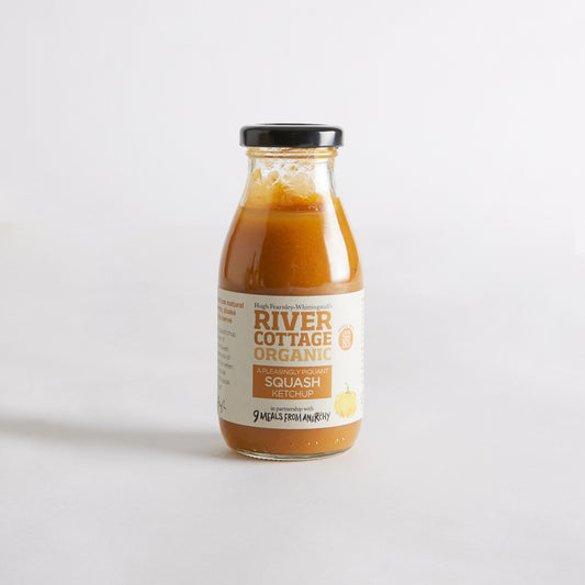 River Cottage Organic Spicy Squash Ketchup